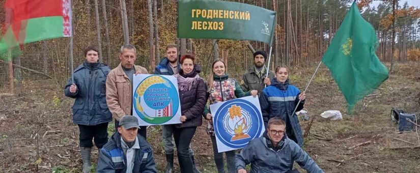 Коллектив ОУП «Гродномелиоводхоз» принял участие в акции «Дай лесу новае жыццё»